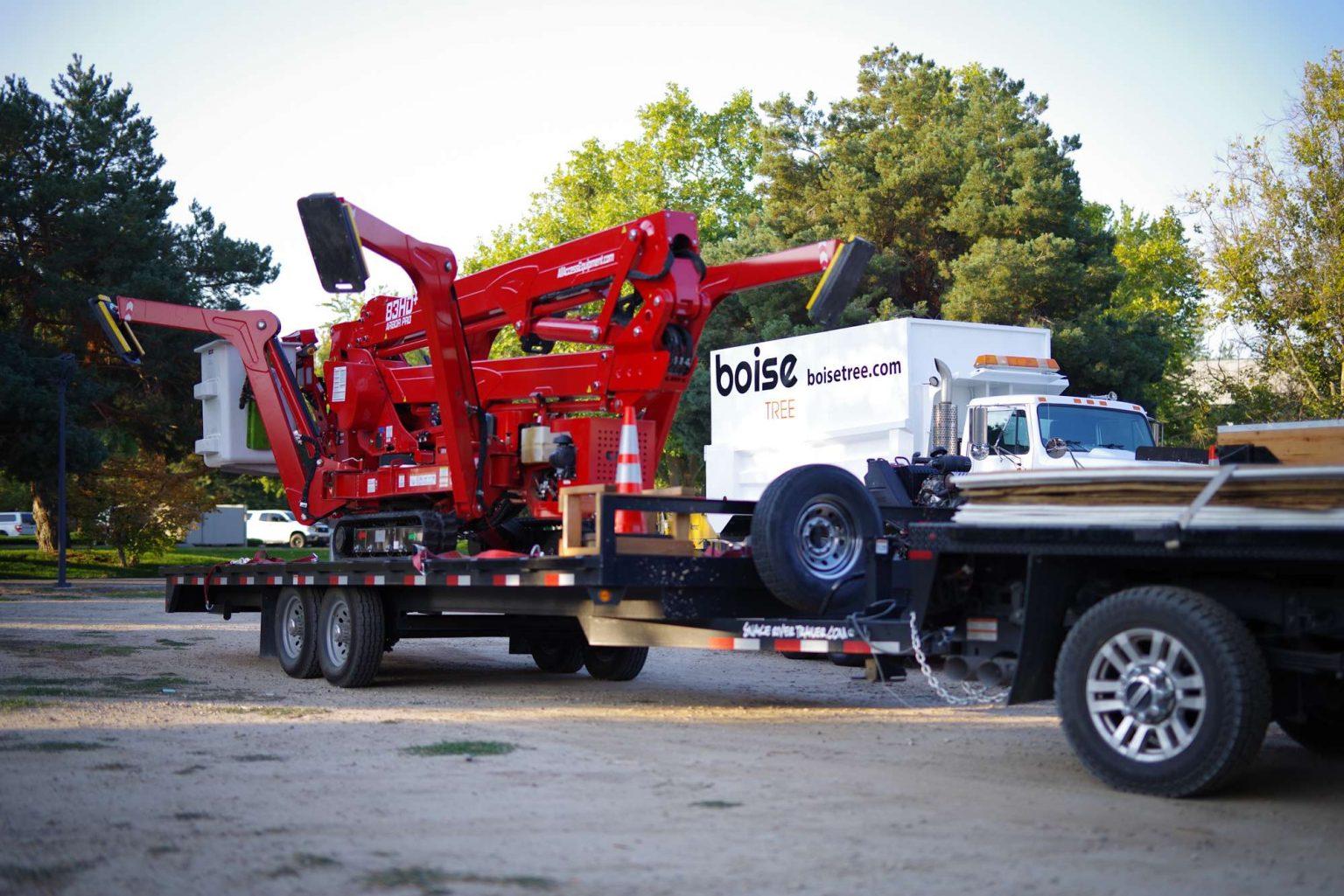 Boise Tree Tree Removal, Pruning, and Stump Grinding