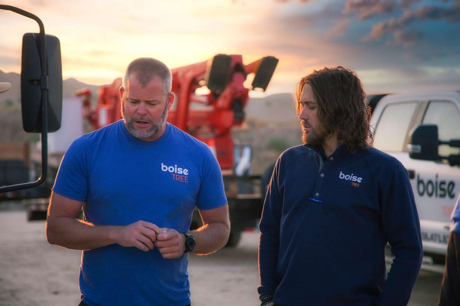 Boise Tree Tree Removal, Pruning, and Stump Grinding